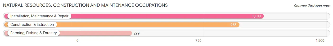 Natural Resources, Construction and Maintenance Occupations in Richmond County