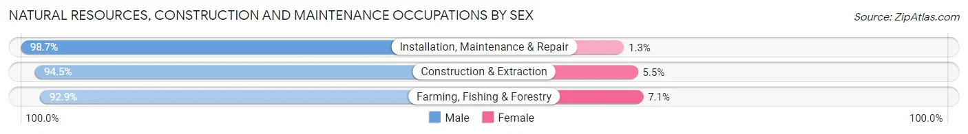 Natural Resources, Construction and Maintenance Occupations by Sex in Rockingham County