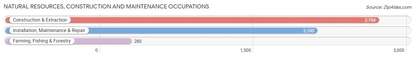 Natural Resources, Construction and Maintenance Occupations in Rockingham County