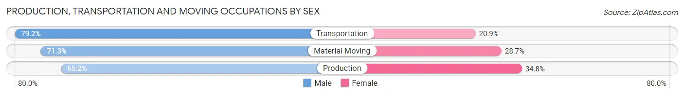 Production, Transportation and Moving Occupations by Sex in Rutherford County