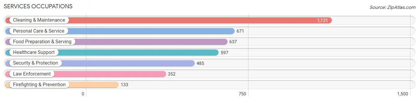 Services Occupations in Stokes County
