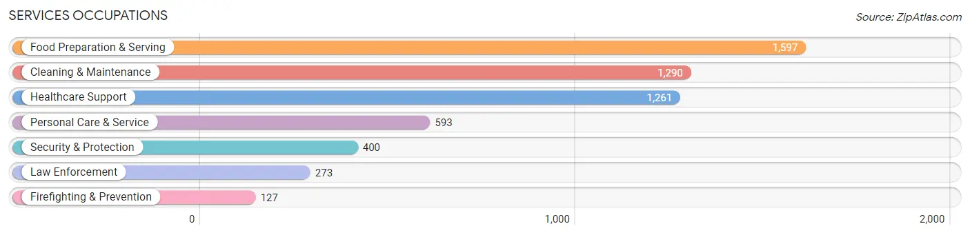 Services Occupations in Surry County