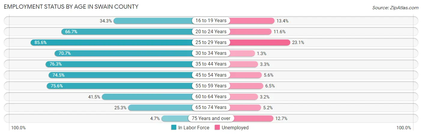 Employment Status by Age in Swain County