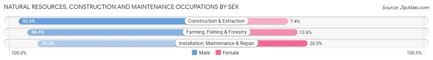 Natural Resources, Construction and Maintenance Occupations by Sex in Swain County