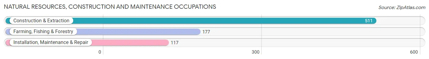 Natural Resources, Construction and Maintenance Occupations in Swain County