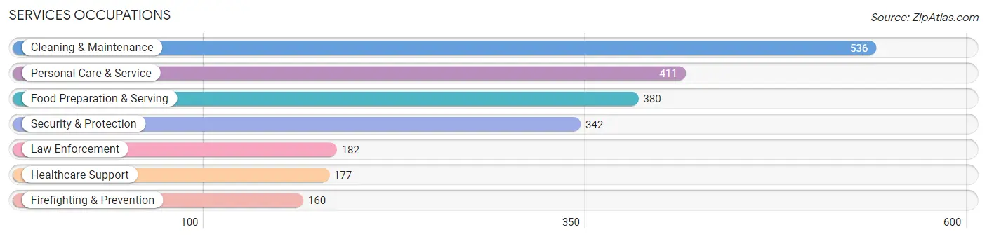 Services Occupations in Swain County