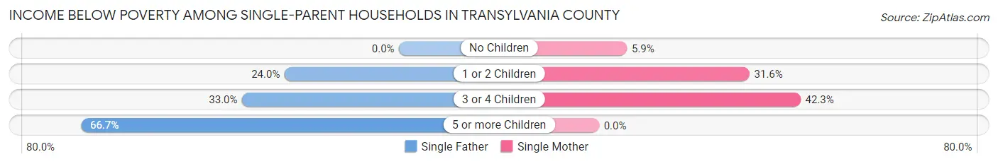 Income Below Poverty Among Single-Parent Households in Transylvania County