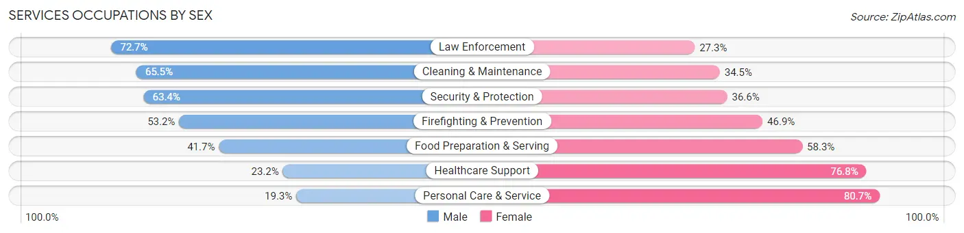 Services Occupations by Sex in Transylvania County
