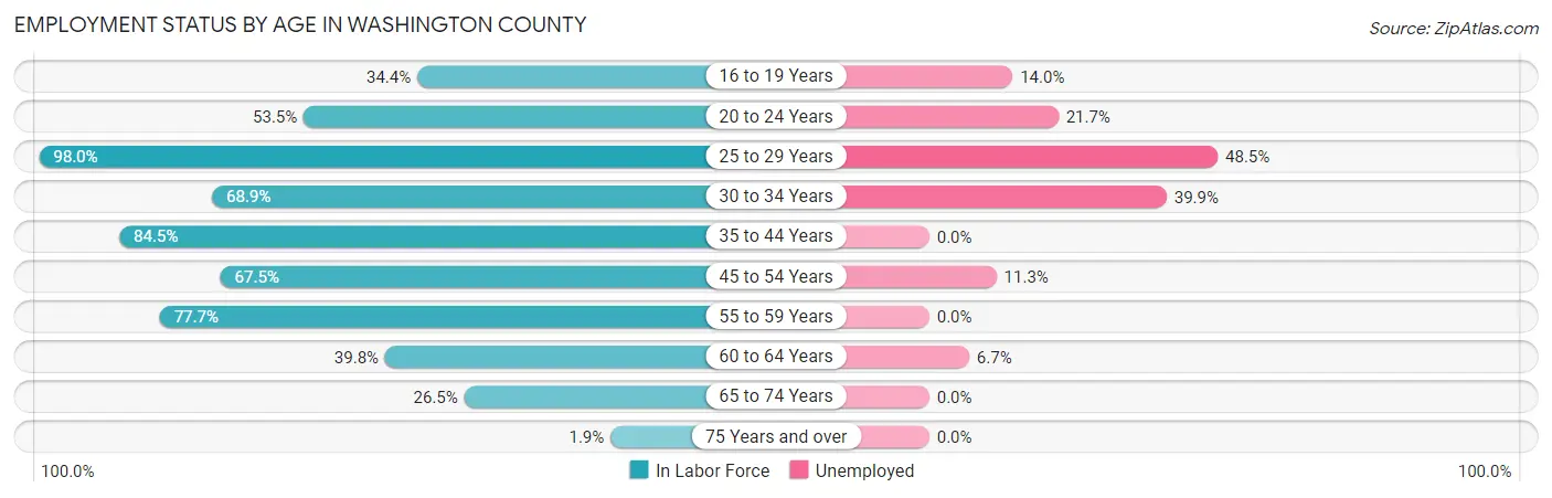 Employment Status by Age in Washington County