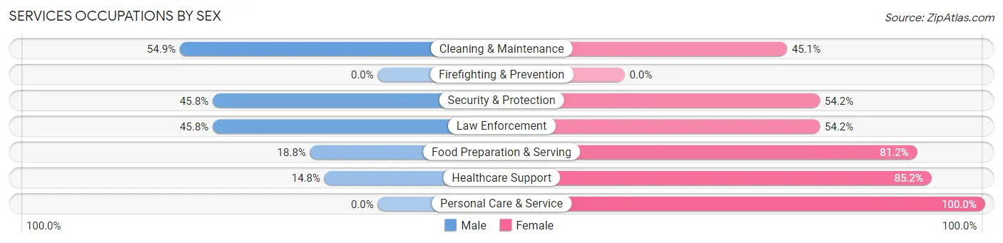 Services Occupations by Sex in Washington County