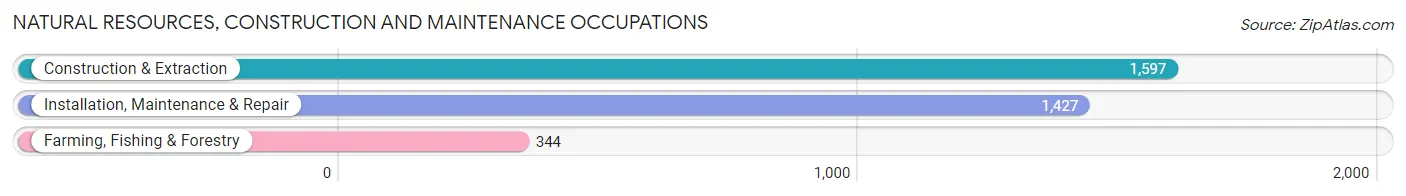 Natural Resources, Construction and Maintenance Occupations in Wilson County