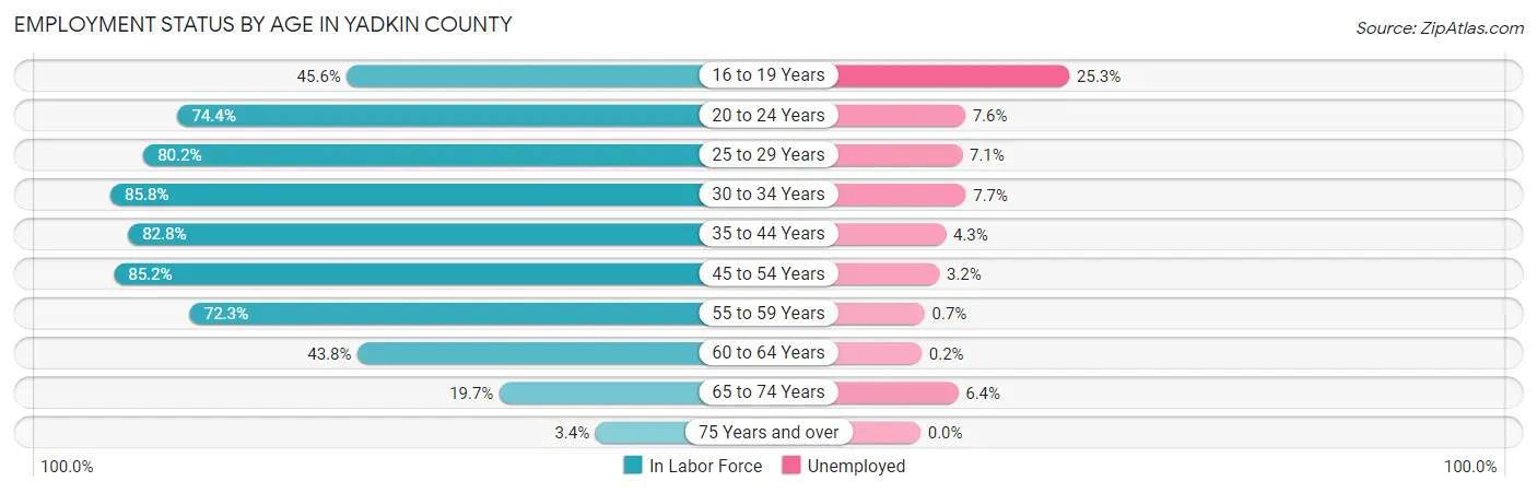 Employment Status by Age in Yadkin County