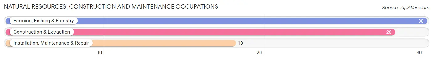 Natural Resources, Construction and Maintenance Occupations in Billings County