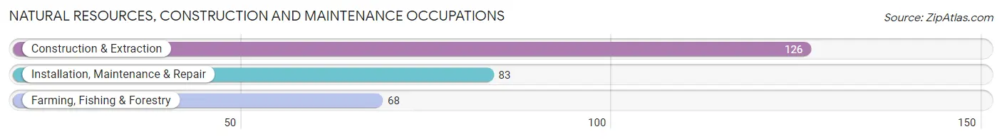 Natural Resources, Construction and Maintenance Occupations in Bowman County