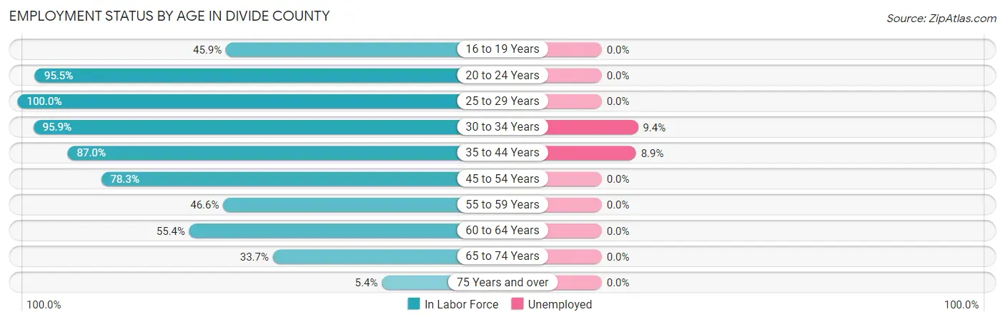 Employment Status by Age in Divide County
