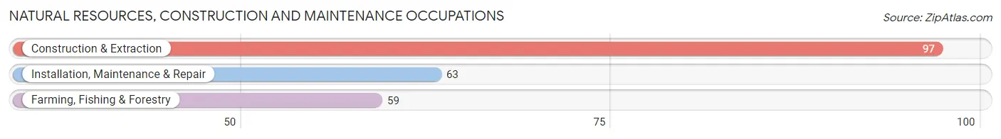 Natural Resources, Construction and Maintenance Occupations in Emmons County