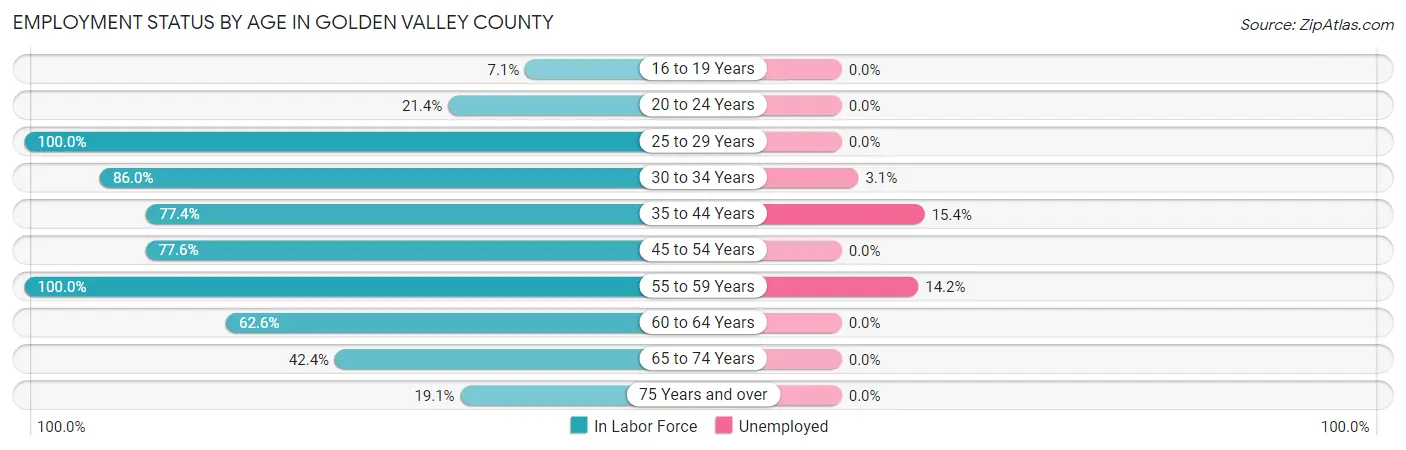 Employment Status by Age in Golden Valley County