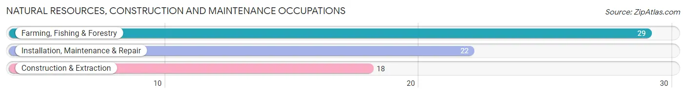 Natural Resources, Construction and Maintenance Occupations in Golden Valley County