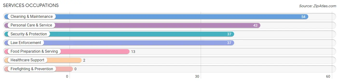 Services Occupations in Golden Valley County