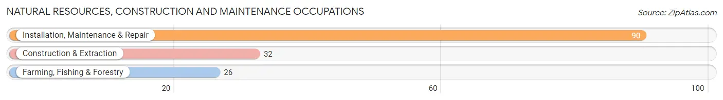 Natural Resources, Construction and Maintenance Occupations in Griggs County