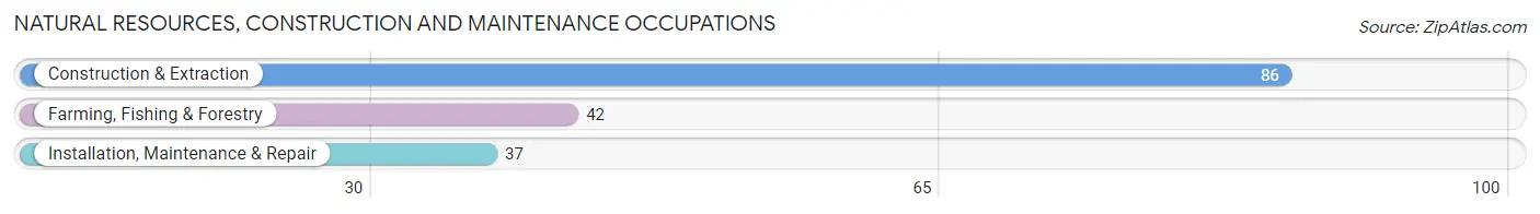 Natural Resources, Construction and Maintenance Occupations in Hettinger County
