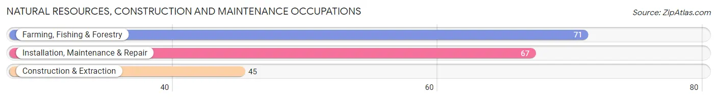Natural Resources, Construction and Maintenance Occupations in Kidder County