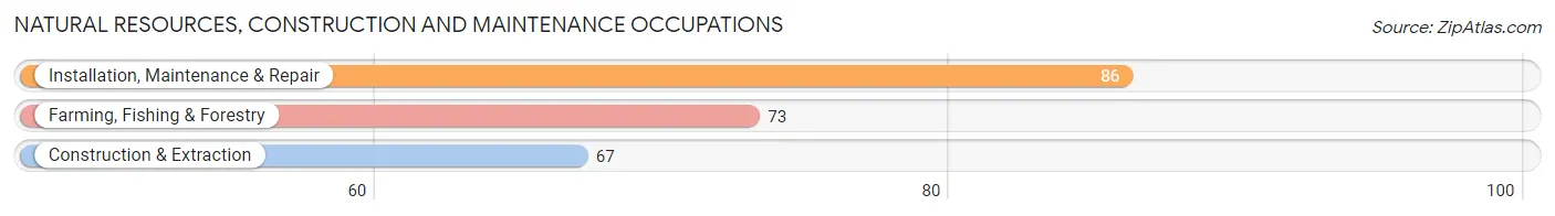 Natural Resources, Construction and Maintenance Occupations in McIntosh County