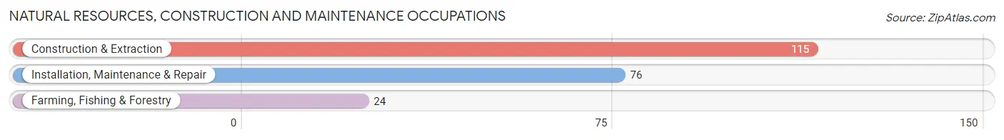 Natural Resources, Construction and Maintenance Occupations in Renville County