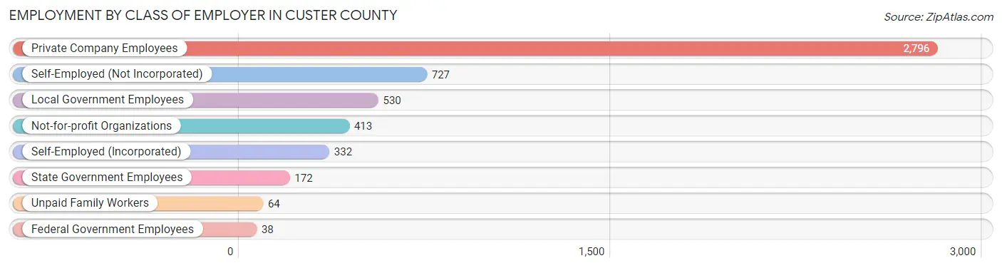 Employment by Class of Employer in Custer County