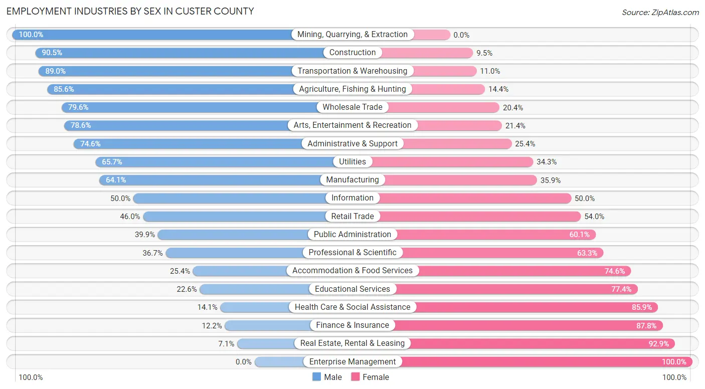 Employment Industries by Sex in Custer County