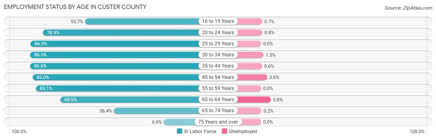 Employment Status by Age in Custer County