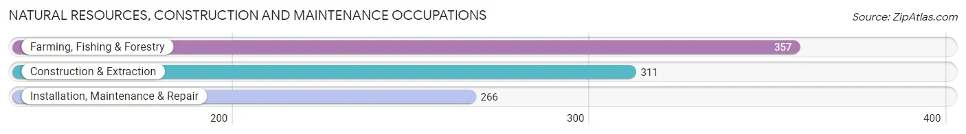 Natural Resources, Construction and Maintenance Occupations in Custer County