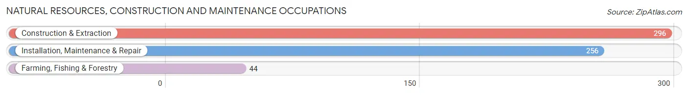 Natural Resources, Construction and Maintenance Occupations in Red Willow County