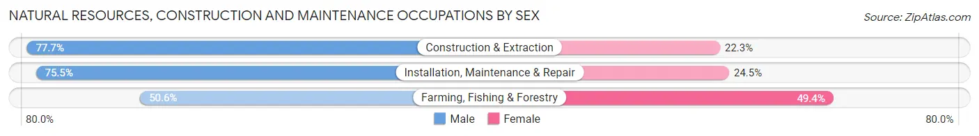Natural Resources, Construction and Maintenance Occupations by Sex in Catron County