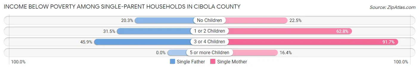 Income Below Poverty Among Single-Parent Households in Cibola County