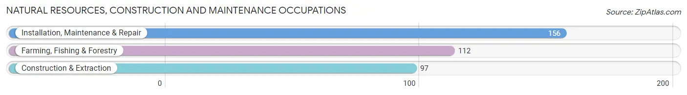 Natural Resources, Construction and Maintenance Occupations in De Baca County