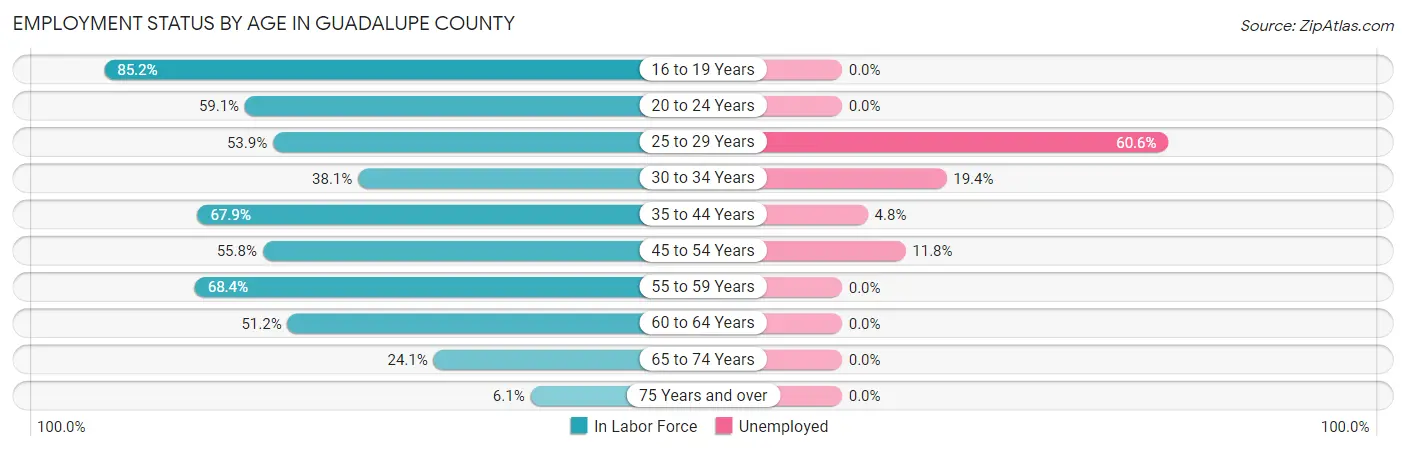 Employment Status by Age in Guadalupe County