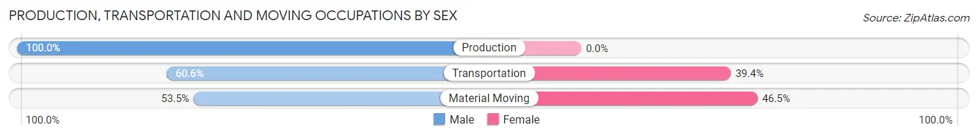 Production, Transportation and Moving Occupations by Sex in Hidalgo County