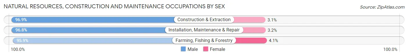 Natural Resources, Construction and Maintenance Occupations by Sex in Lea County