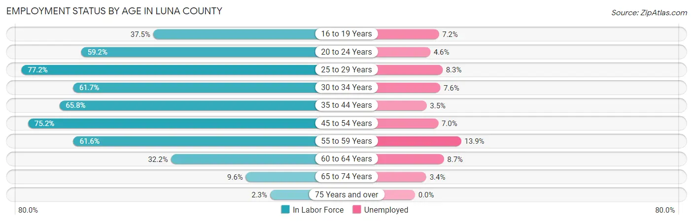 Employment Status by Age in Luna County