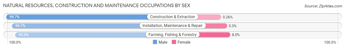Natural Resources, Construction and Maintenance Occupations by Sex in Rio Arriba County