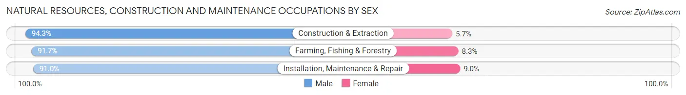 Natural Resources, Construction and Maintenance Occupations by Sex in Lyon County