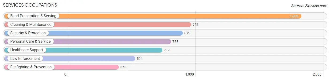 Services Occupations in Lyon County