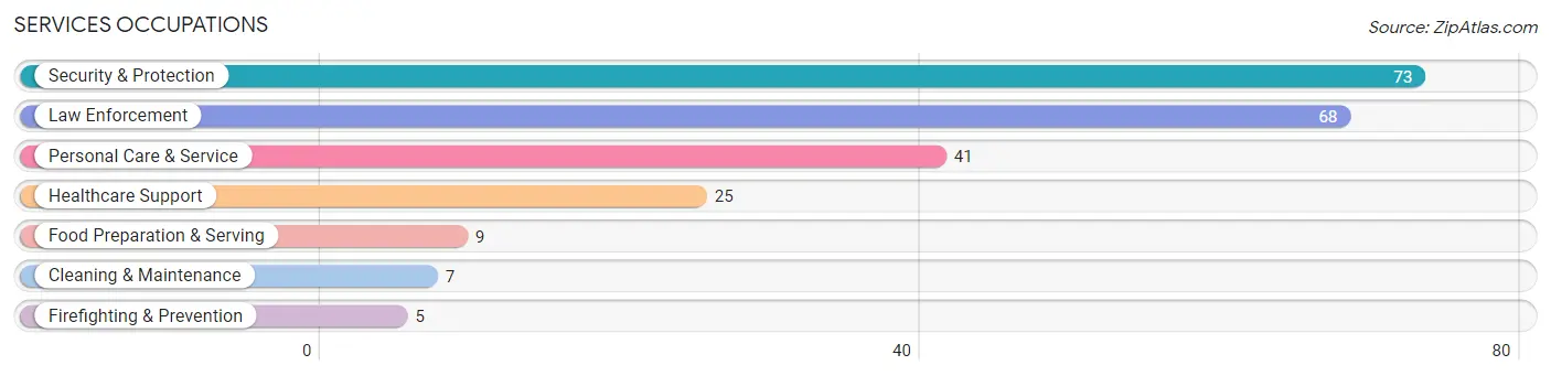 Services Occupations in Mineral County