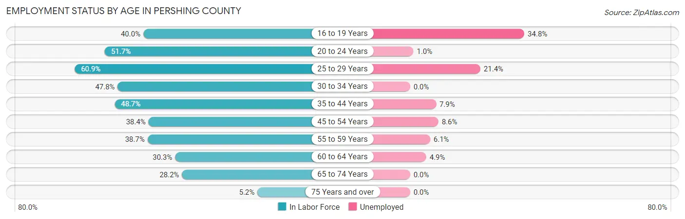 Employment Status by Age in Pershing County