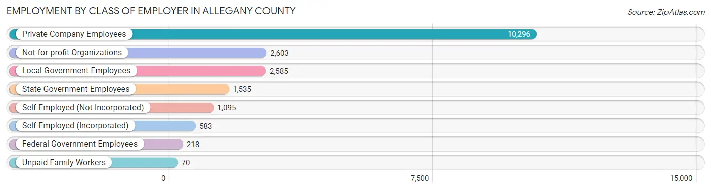 Employment by Class of Employer in Allegany County