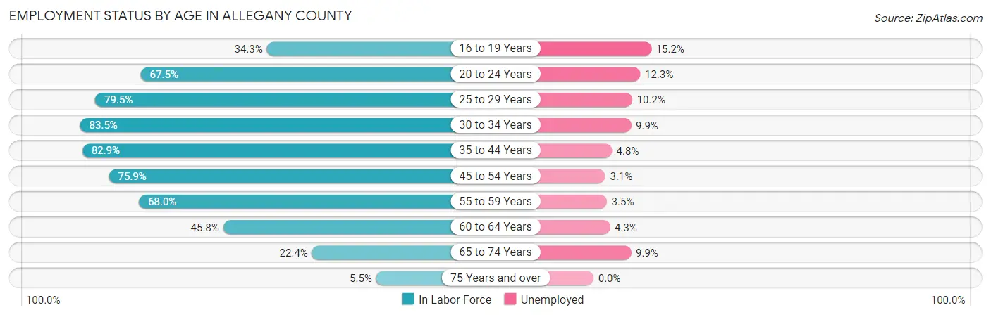 Employment Status by Age in Allegany County