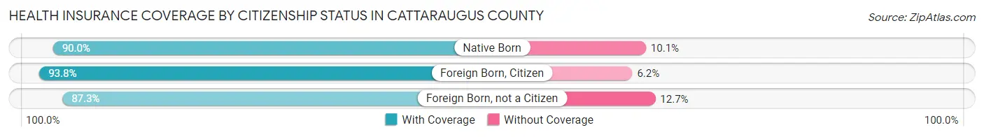 Health Insurance Coverage by Citizenship Status in Cattaraugus County