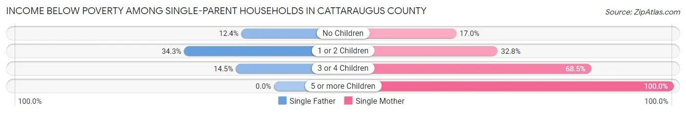 Income Below Poverty Among Single-Parent Households in Cattaraugus County