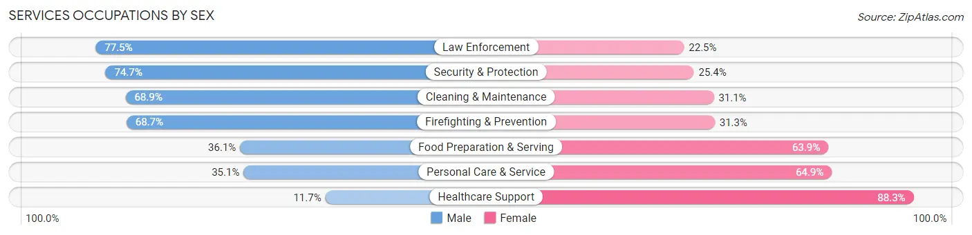 Services Occupations by Sex in Cattaraugus County